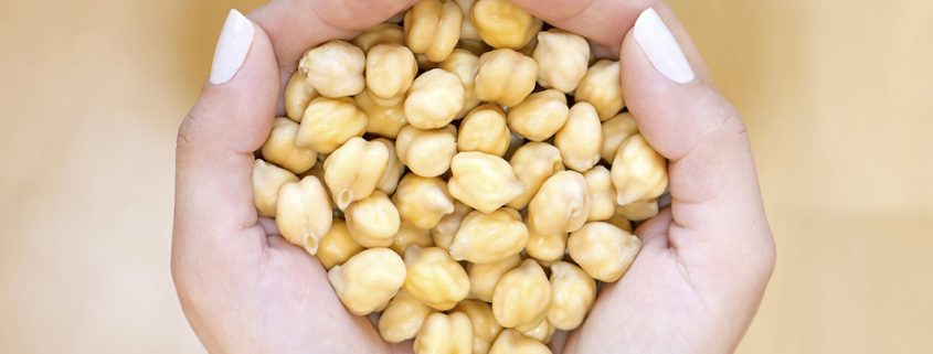 Chickpeas in woman hands