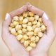 Chickpeas in woman hands